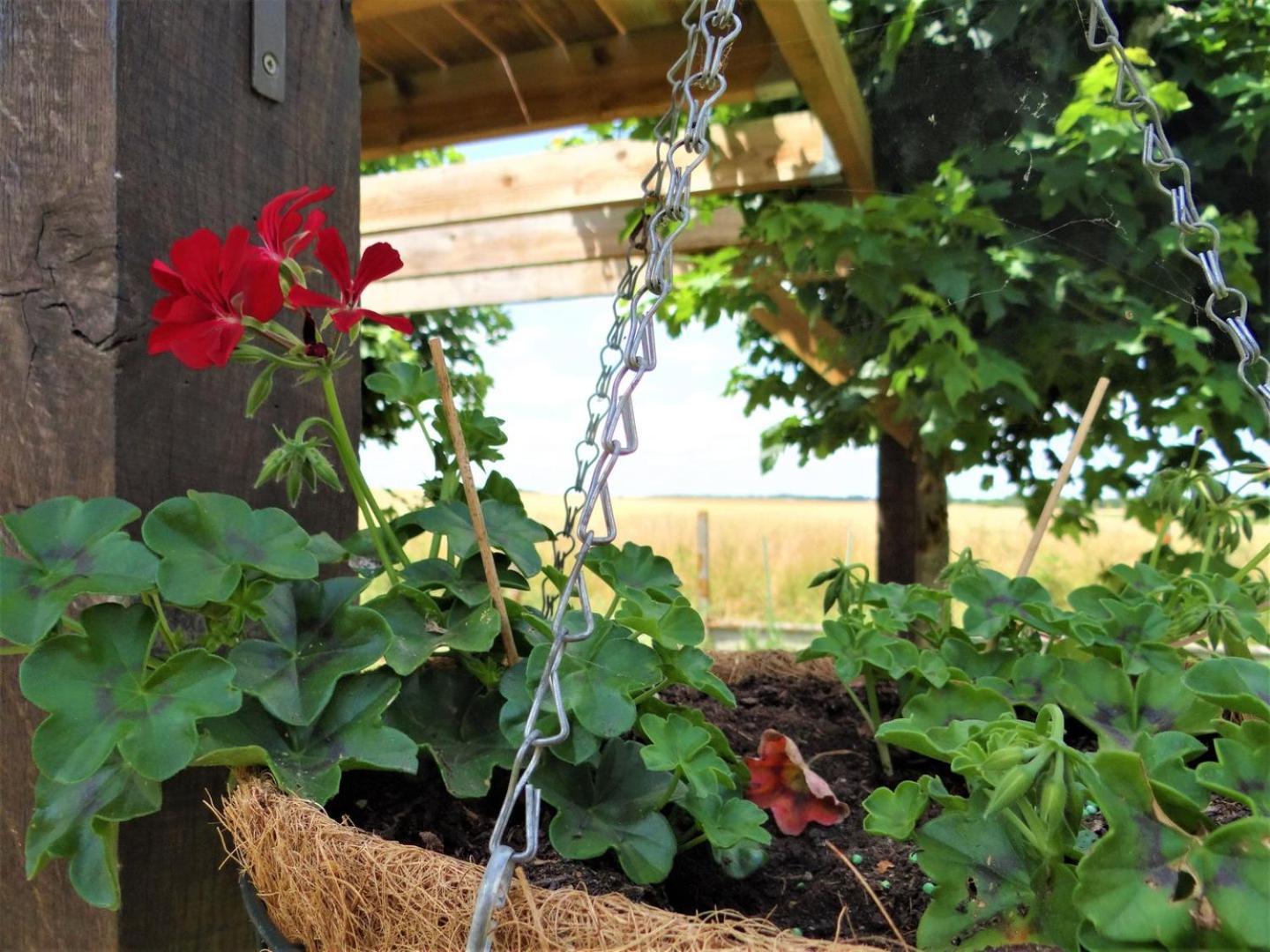 Le Lavoir Secret - Hebergement Atypique Dans Un Joli Cadre Bucolique ξενώνας Dangeau Εξωτερικό φωτογραφία